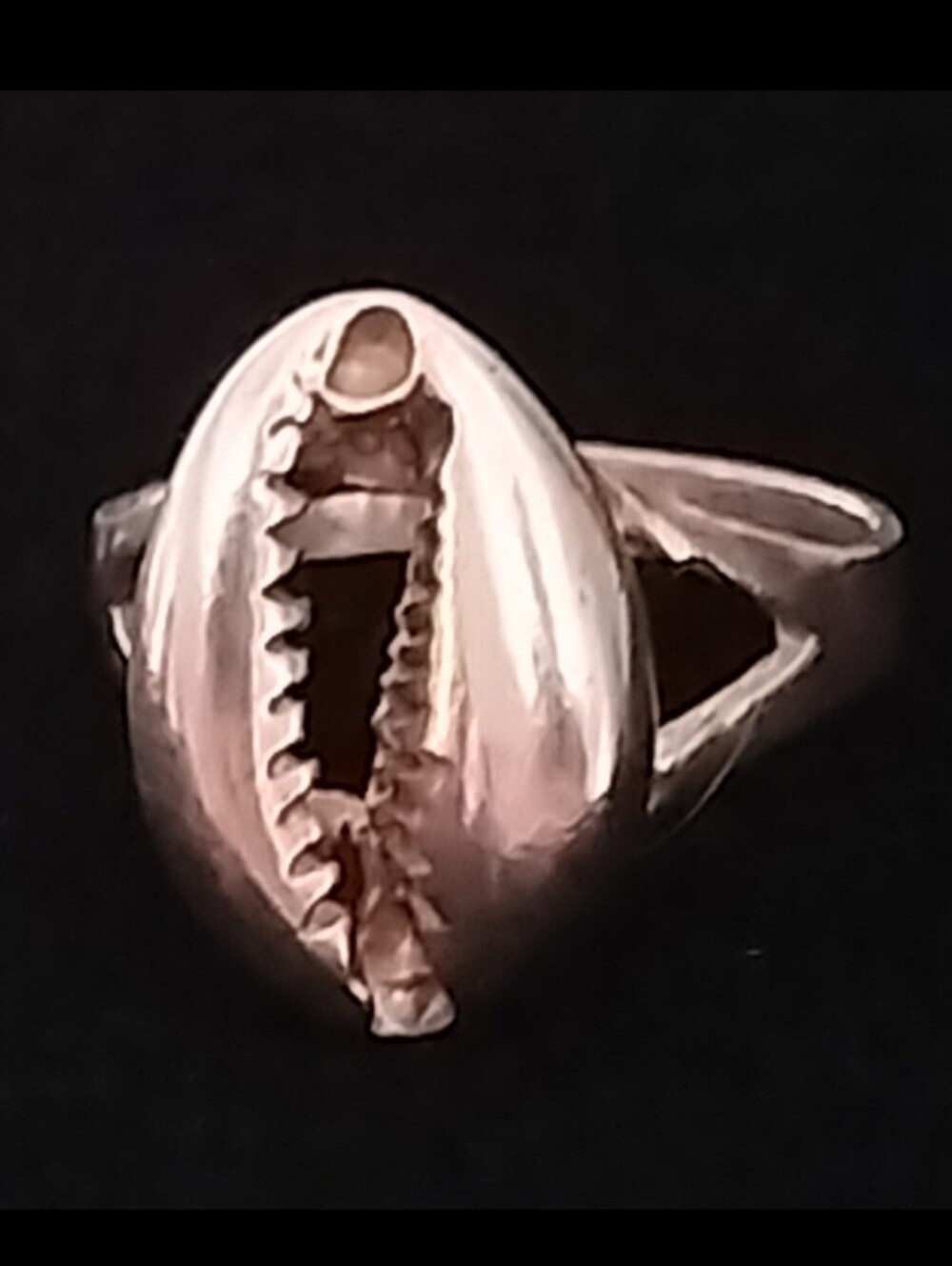 Sterling Silver Cowrie Shell Ring, Sz 6.5